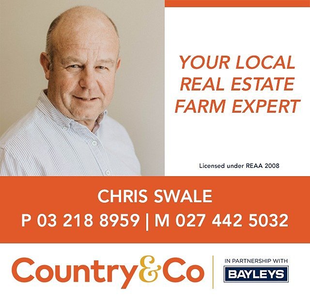 Chris Swale - Country & Co. Realty Ltd
